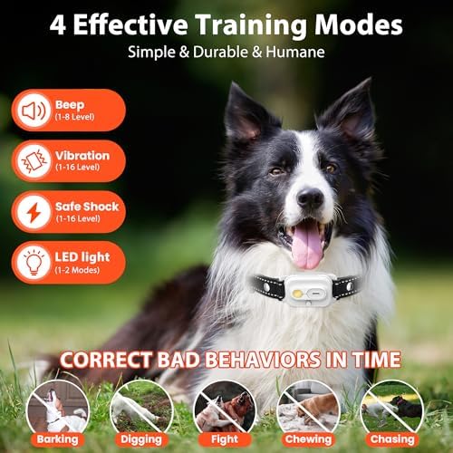 Dog Training Collar with Remote Control, 3300FT and 4 Training Modes Beep,Vibration,Safe Shock,LED Night Light,IPX7 Waterproof Rechargeable E-Collar for All Breeds (8-150 lbs)