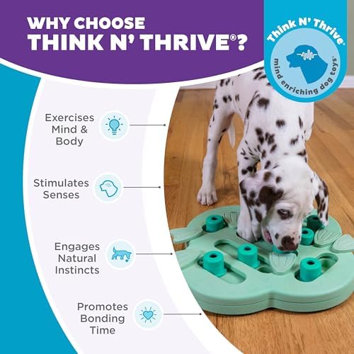Outward Hound Nina Ottosson Puppy Hide N' Slide Dog Toy Treat Puzzle, 11.6"