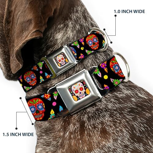 Dog Collar Seatbelt Buckle Colorful Calaveras Black Multi Color 16 to 23 Inches 1.5 Inch Wide