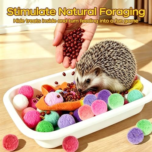 Hedgehog Toys & Accessories, Enrichment Toy Set with Dig Box & Balls