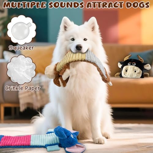 No Stuffing 3 Pack Dog Squeaky Toys, Chew with Crinkle to Large Puppy