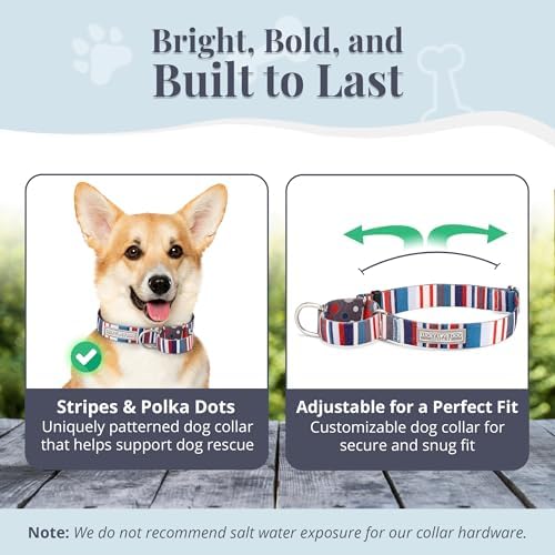 Lucky Love Dog Martingale Collar & Leash Set No Slip Cute – Linus, Small