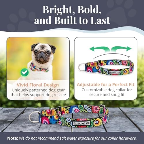 Lucky Love Dog Martingale Collar & Leash Set No Slip – Blackbird, Medium
