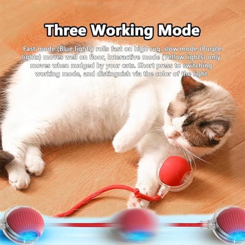 Interactive Pet Toy Ball, 2025 New Interactive Rolling Dog Ball, for Bored Indoor Cats, Automatic Rotating Rolling Balls