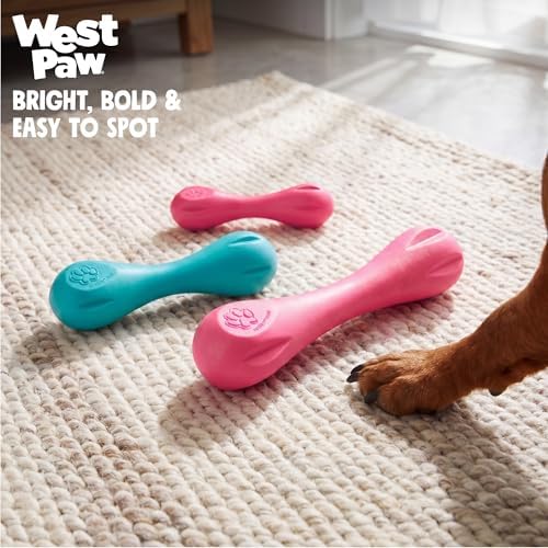 WEST PAW Zogoflex Hurley Dog Bone Chew Toy – Floatable Pet Toys for Aggressive Chewers, Catch, Fetch – Bright-Colored Bones for Dogs – Recyclable, Dishwasher-Safe, Non-Toxic, X-Small, Teal