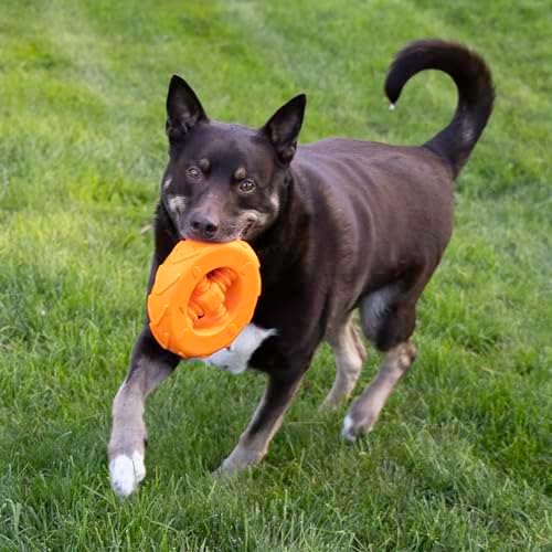 KONG Squeakz Dog Toy – Durable Rubber Fetch & Chew Toy with Squeakers, Interactive Enrichment Toy for Active Dogs (Wheel, Large)