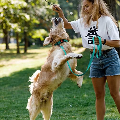 Reflective Dog Collar, Quick-Release Buckle (Mint Green, 12-16 Inch)