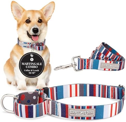 Lucky Love Dog Martingale Collar & Leash Set No Slip Cute – Linus, Small