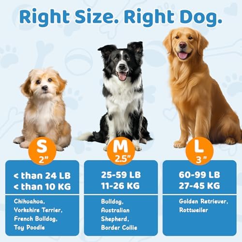 Tennis Balls for Dog 2.5'' Durable Non-Toxic Outdoor Dog Toys Balls with Mesh Bag,Colorful Fetch Toys Balls for Medium Dog (Non Squeaky)