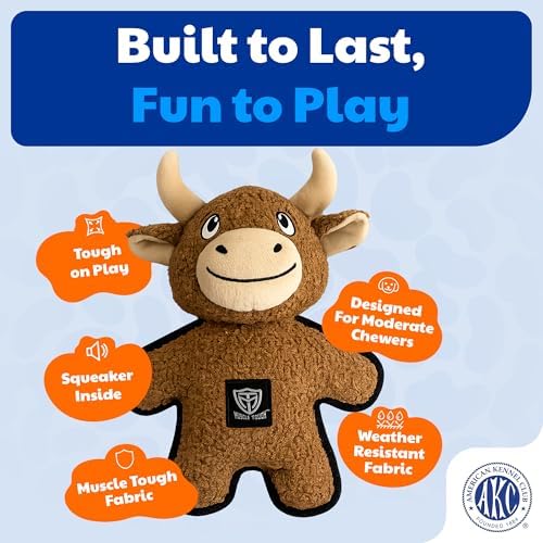 American Kennel Club Plush Dog Toy with Squeaker for Moderate Chewers, Soft Stuffed Dog Toy for Tugging, Fetch & Interactive Play, Gentle on Teeth