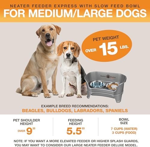 Neater Feeder - Express Model w/ Slow Feed Bowl - Mess-Proof Dog Bowls (M/L, Grey) Made in USA – Elevated, No Spill, Non-Tip, Non-Slip, Raised Stainless Steel Food/Water Pet Bowls Aid Digestion