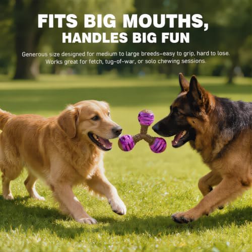 MECOOL Durable Dog Chew Toys for Medium Dogs - Squeaky Rubber Balls with Nylon Reinforcement, Interactive Lick & Chew Toy for Aggressive Chewers, Pet Teething Toy Red,Bacon Flavored