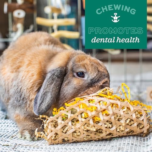 Oxbow Timothy Hay Party Pack, Rabbit & Guinea Pig Toys, Bunny Enrichment