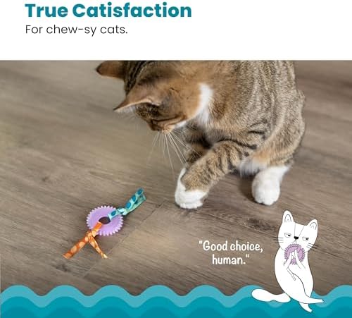 Catstages Kitty Chew Wheel, Dental Cat Toy with Catnip Oil, Teeth Cleaning, Healthy Chewing, Boredom Relief, Kicking & Batting for Kittens and Adult Cats, Purple (Pack of 2)