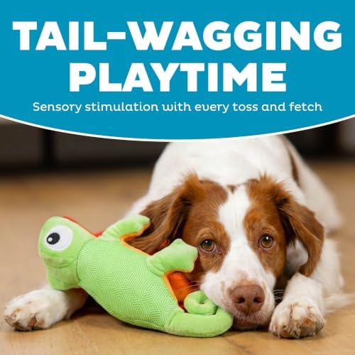 Outward Hound Coated Critterz Dog Toy – Plush & Molded Texture, Squeaky Fetch, Small & Medium Dogs, Lizard, 10.4"