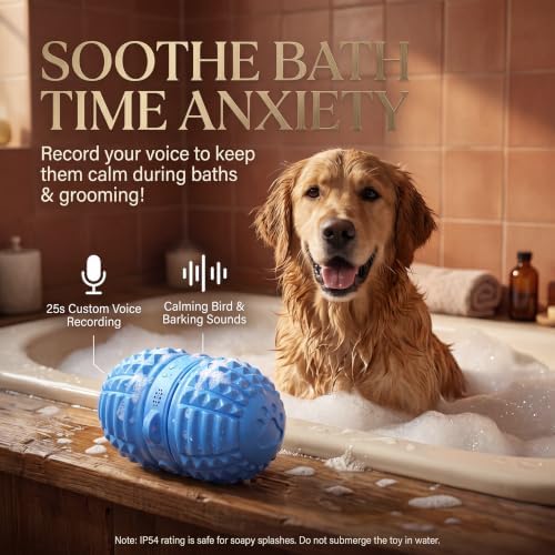 Smart Interactive Dog Toy, 8 Modes Automatic Rolling Ball with a Recording Function, Food-Grade Rubber Material Interactive Dog Ball for Medium and Large Dogs，Blue