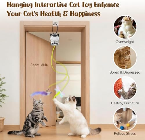 2-in-1 Electric Interactive Cat Chase Bounce Teaser Toy for Indoor Cats