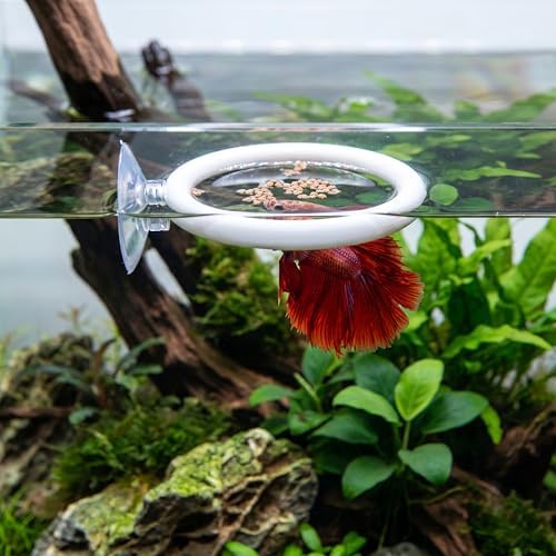 Betta Fish Toys Set - Floating Betta Mirror with Ball & 2 Training Ring Hoop, Interactive Enrichment Toys for Fish Tank Accessories, Agility Exercise Kit to Reduce Boredom