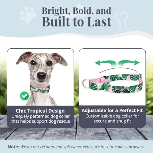 Lucky Love Dog Martingale Collar & Leash Set No Slip Cute – Laguna, Medium