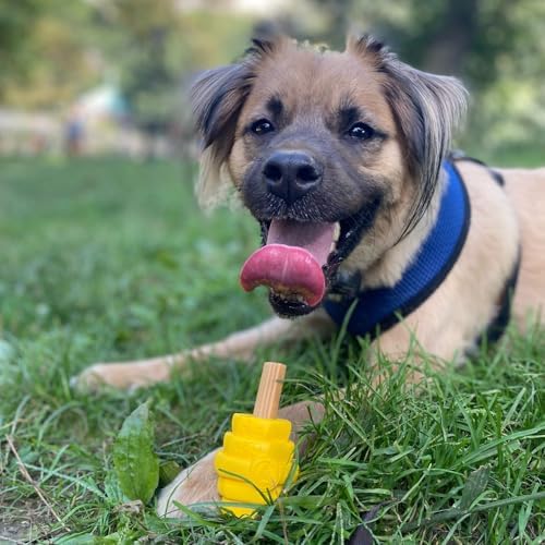 Hive Chew Toy for S/M Dogs – Yellow/Unscented – Chew, Fetch, & Treat-Dispensing Enrichment Toy, Floats, Made in USA, Pairs with Hive Chew Sticks for S/M Dogs for Longer-Lasting Play