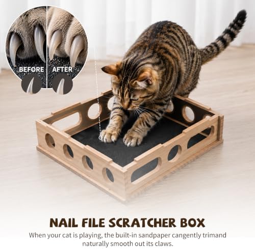 Cat Nail File Enrichment Box Scratch Puzzle Toy with Slot Lock Screws