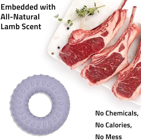 Playology Dual Layer Ring Dog Toy for Aggressive Chewers, Lamb Scent