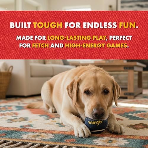 Wrangler Tennis Balls for Dogs, Interactive Fetch Toy (3-Pack)