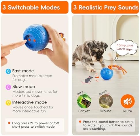 Potaroma Interactive Dog Toy Touch Activated