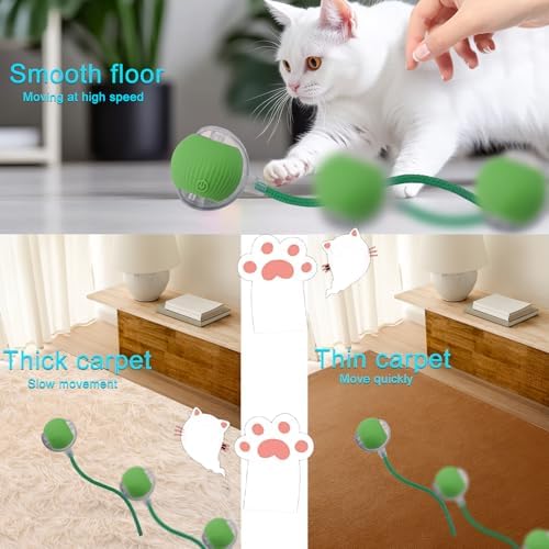 Interactive Cat Dog Toy Ball with LED Light, Automatic Rolling(Green)