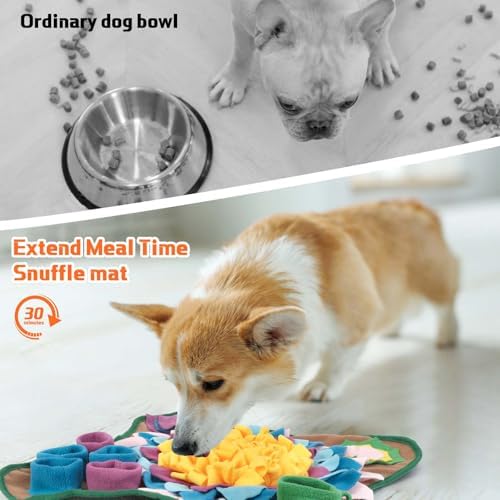 Yummy Sam Snuffle Mat for Small Medium Dogs Nose Smell Training, Grey