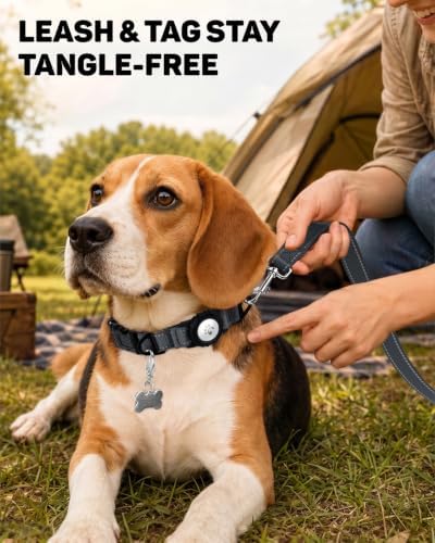 Padded Dog Collar with Waterproof Holder Compatible with Airtag