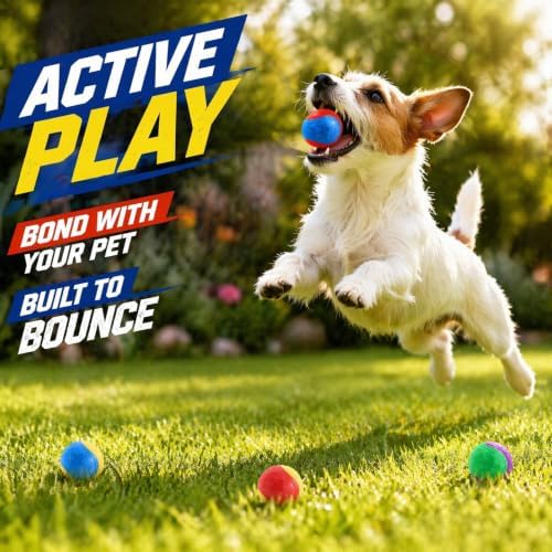10-Pack Durable Dog Training Balls, Durable Chew Toys for Puppy and Small Breeds, Bouncy Interactive Fetch Toys for Garden Herding and Agility Play (Assorted Colours)