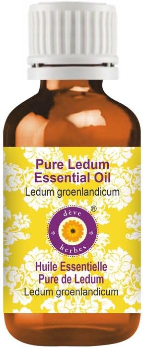 dève herbes Pure Ledum Essential Oil (Ledum groenlandicum) Steam Distilled 5ml (0.16 oz)