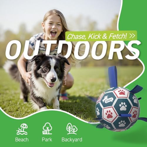 QDAN Large Dog Toys, 8 Inch Durable Balls for Dogs, Soccer Ball with Straps