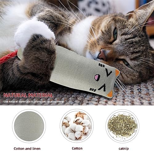 Soft Indoor Cat Toys Self Play Interactive Pillows Catnip Filled 5PCS Plush Kitten Teething Set Cute Kitty Chew Bite Resistant Cartoon Mouse Pet Supplies Gifts