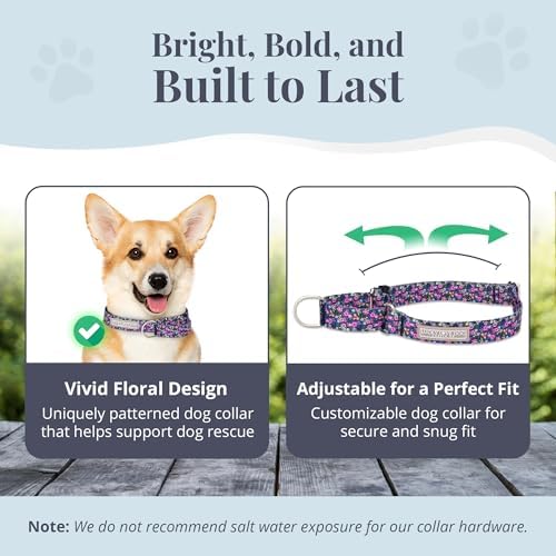 Lucky Love Dog Martingale Collar & Leash Set No Slip Cute – Primrose, Small