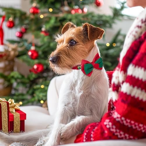 azuza Christmas Dog Collar Santa Print Xmas Pet Collar with Removable Red and Green Bowtie, Adjustable Dog Collar Accessories for Medium Dogs