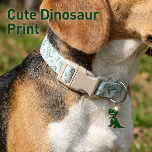 Dinosaur Dog Collar, Large Dog Collar for Boy Dog, L
