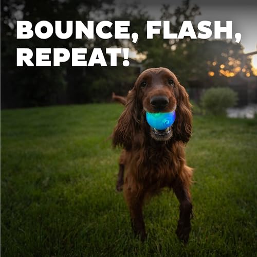 Outward Hound by Planet Dog Strobe Light Up LED Ball Dog Toy, Blue