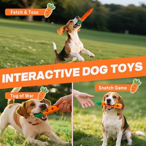 Fida 2-in-1 Puppy Teething Toys, Natural Rubber Chew Toys for Dogs, Carrot
