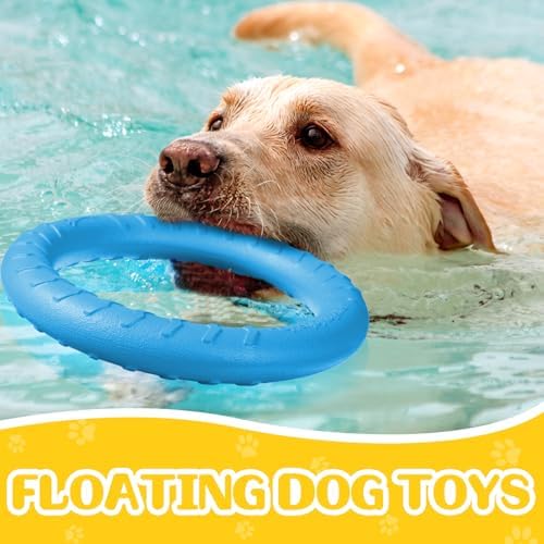 4 Pack 7.48 Inch Dog Ring Toy for Large Medium Dog Training, Multicolored