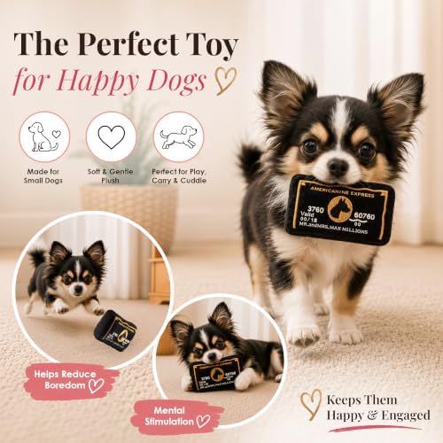 Dog Diggin Designs Americanine Express Bark Plush Dog Toy | Luxury-Inspired Parody Credit Card Dog Toy with Squeaker, Soft Plush Novelty Dog Toy – Don’t Leave Home Without It