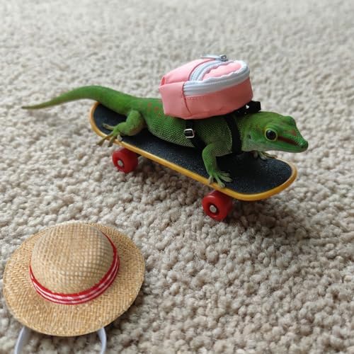 3 Pack Bearded Dragon Toy Set Includes a Bearded Dragon Backpack, an Adjustable hat, and a mini Skateboard Toy, for Small Reptile Pets Such as Lizards, Hamsters, Parrots, and Turtles.（Pink）