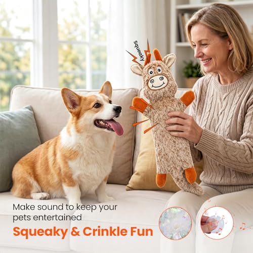 HGB Squeaky Crinkle Dog Toys for Puppies Small Medium Dogs