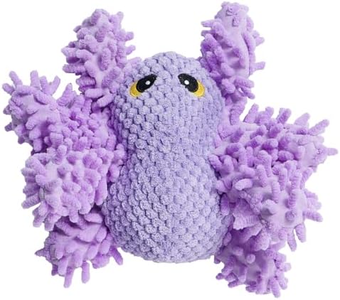 Nocciola Plush Squeaky Dog Toys, Cute Durable Stuffed Crinkle Puppy Pet Chew Toys for Large Medium Small Dogs - Spider