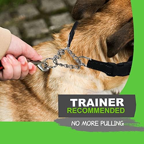 Personalized Martingale Dog Collar-Reflective Martingale Collars with Buckle, Custom Training Martingale Dog Collars Embroidered with Name and Phone Number for Small Medium Large Dogs