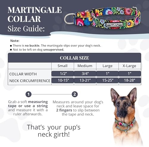 Lucky Love Dog Martingale Collar for Large Dogs No Slip – Blackbird, Large