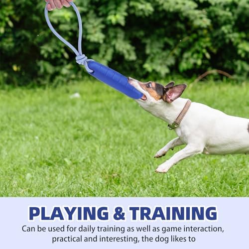 PUPTECK Interactive Dog Pool Toys Water Floating Toys Fetch Training Bumpers 2 Pack, Blue & Green