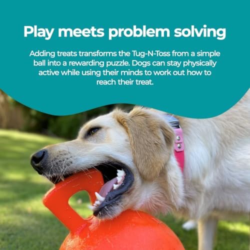 Jolly Pets Tug-n-Toss Heavy Duty Dog Toy Ball with Handle, 10 Inches/X-Large, Orange, Large Breeds
