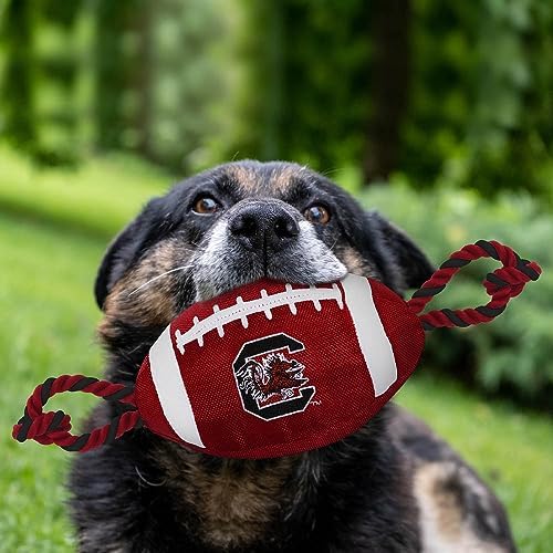 Pets First NFL Unisex NFL Nylon Football